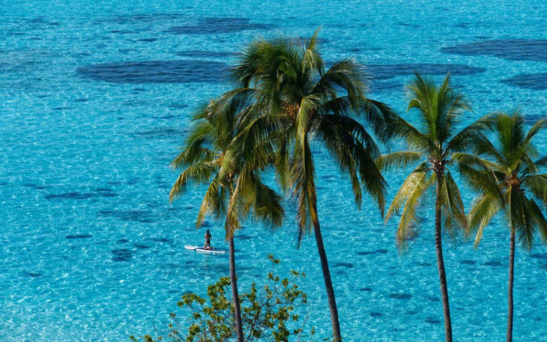 Carnet de voyage : Moorea